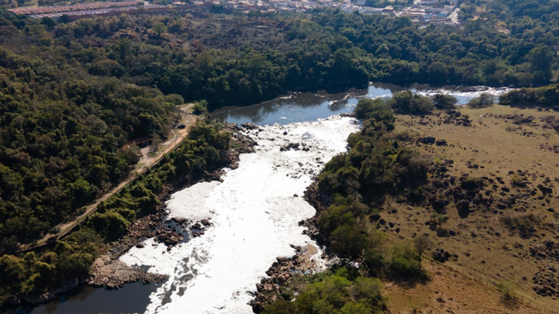 Foto: Reprodução/SOS Mata Atlântica