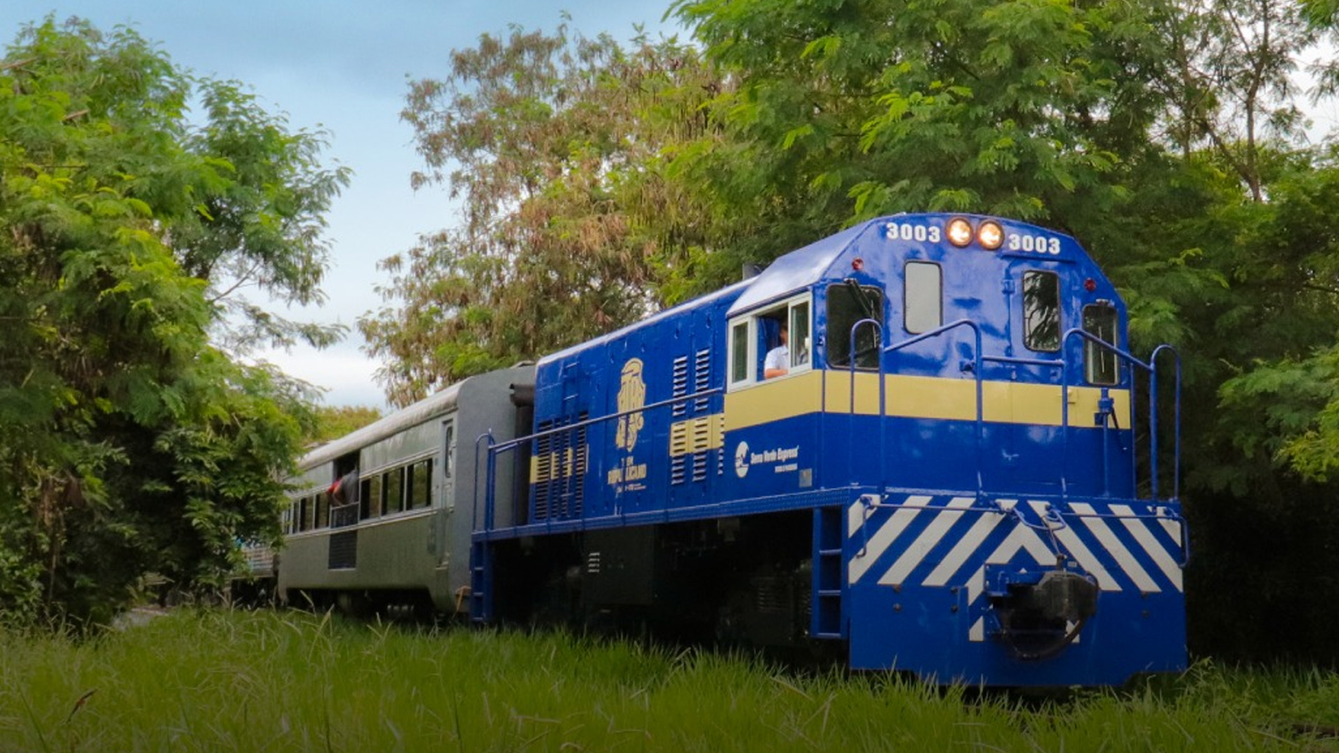 Trem turístico oferece passeio de São Paulo à Salto