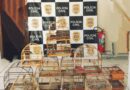 Polícia Civil apreende pássaros em Salto