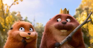 “Meias Trocadas” celebra Dia de Down sábado no Plaza