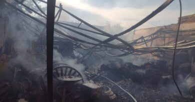 Incêndio atinge empresa em Salto; quatro cães morreram