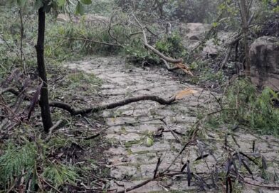 Chuvas fortes causam quedas de árvores e fecham Parque de Lavras em Salto