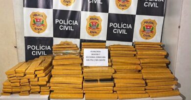 Polícias de Salto e Itu apreendem 325 tijolos de maconha em carga de alho
