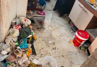 Polícia Civil prende mãe por maus-tratos e abandono dos filhos menores