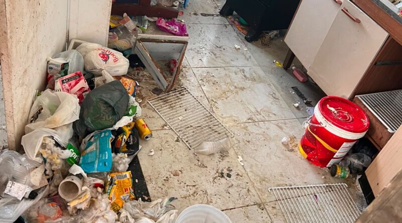 Polícia Civil prende mãe por maus-tratos e abandono dos filhos menores